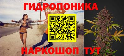 кокс Можайск