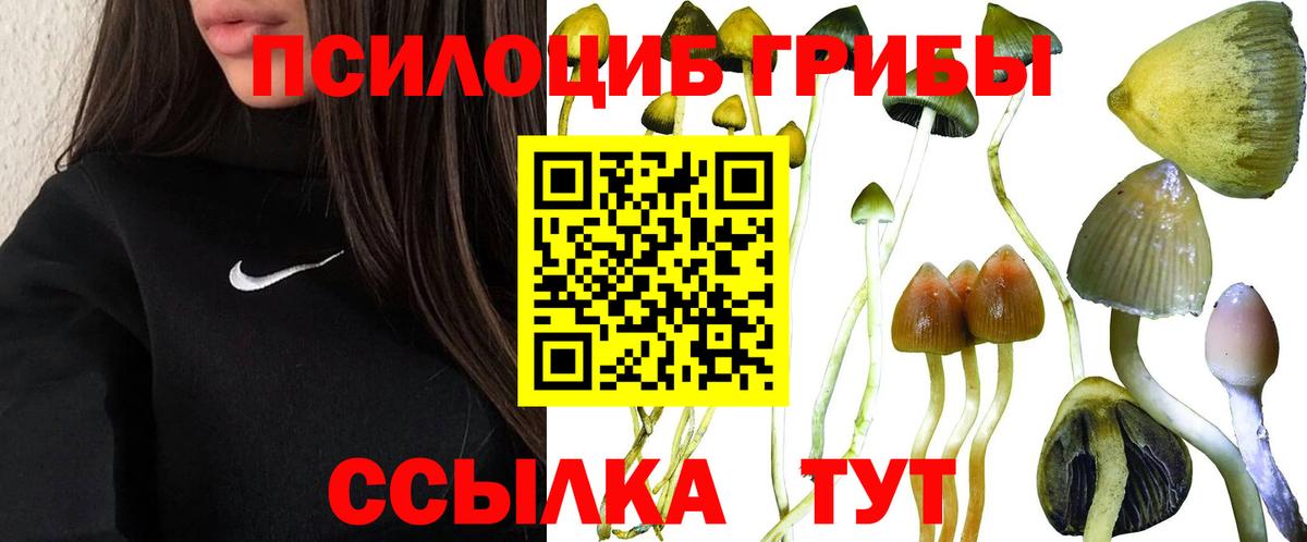 Псилоцибиновые грибы прущие грибы Долгопрудный