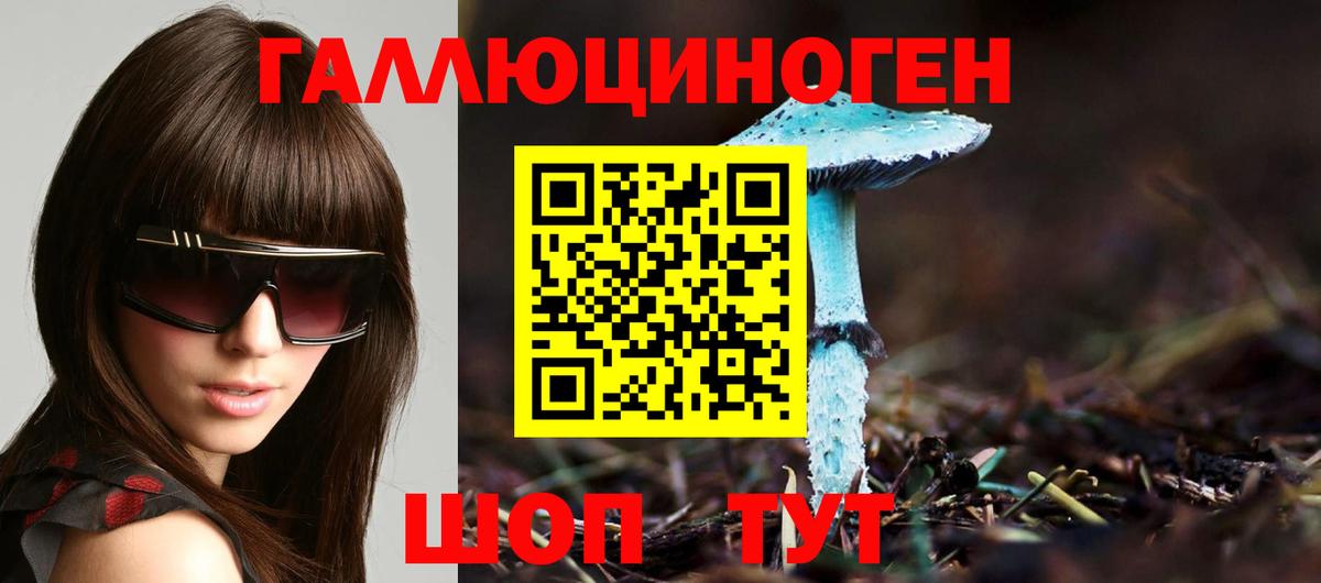 Псилоцибиновые грибы Psilocybe  цены   Псилоцибиновые грибы мухоморы  Долгопрудный  Вход с VPN 